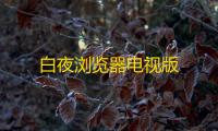 白夜浏览器电视版